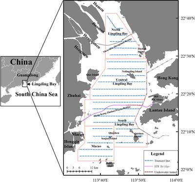 Responses of Indo-Pacific humpback dolphins (Sousa chinensis) to construction of the Hong Kong–Zhuhai–Macao Bridge